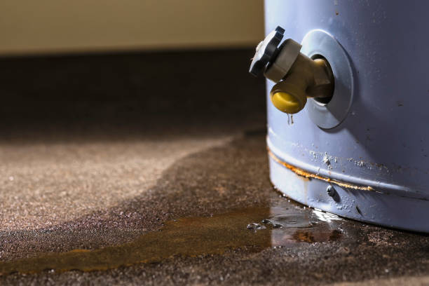 Best Mold removal after water damage  in Harwood Heights, IL