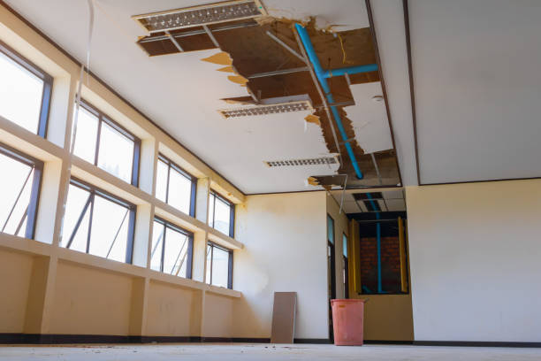 Best Residential water damage restoration  in Harwood Heights, IL