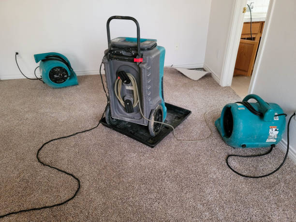Best Water damage cleanup near me  in Harwood Heights, IL