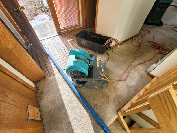 Best 24-hour water damage restoration  in Harwood Heights, IL