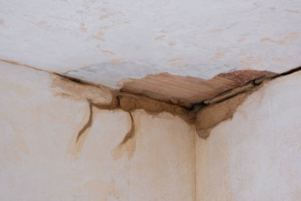 Best Flood damage cleanup  in Harwood Heights, IL