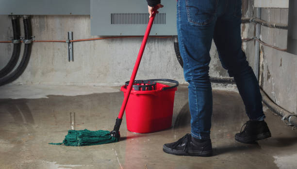 Best Carpet water damage restoration  in Harwood Heights, IL