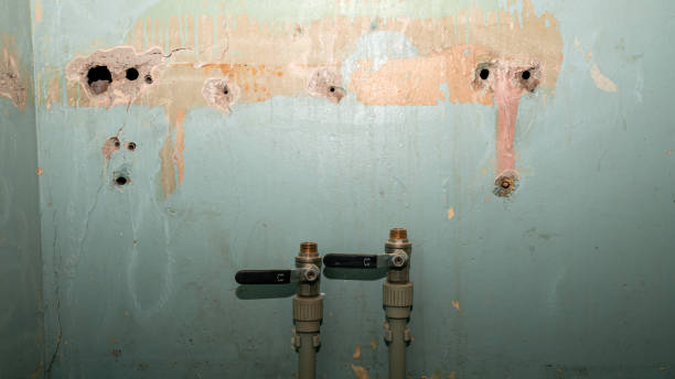 Best Ceiling water damage repair  in Harwood Heights, IL