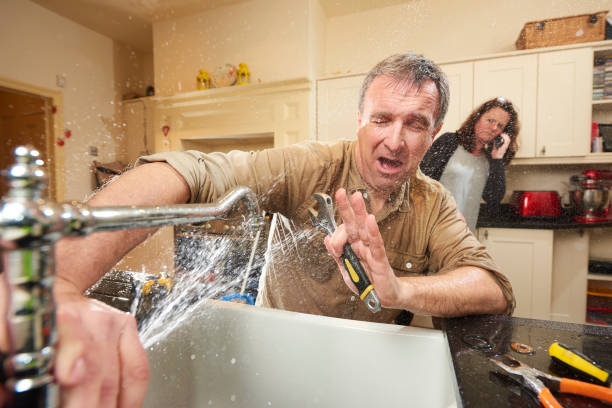 Best Commercial water damage restoration  in Harwood Heights, IL